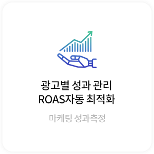 광고별 성과관리, ROAS 자동 최적화, 마케팅 성과측정