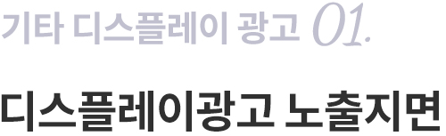 디스플레이 노출지면