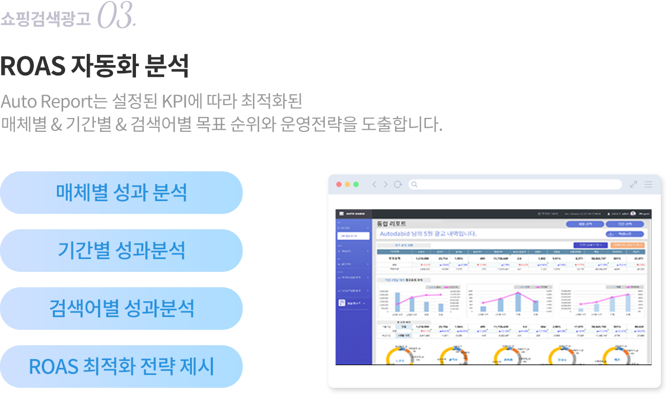 ROAS 자동화 분석